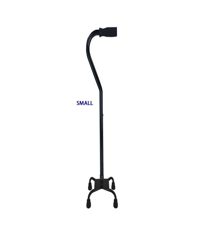 Quad Cane Small Black