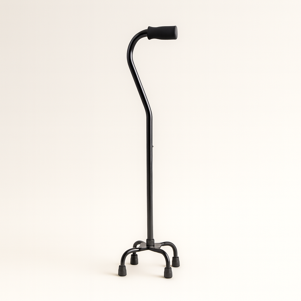 Black cane on a white background