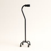 Black cane on a white background